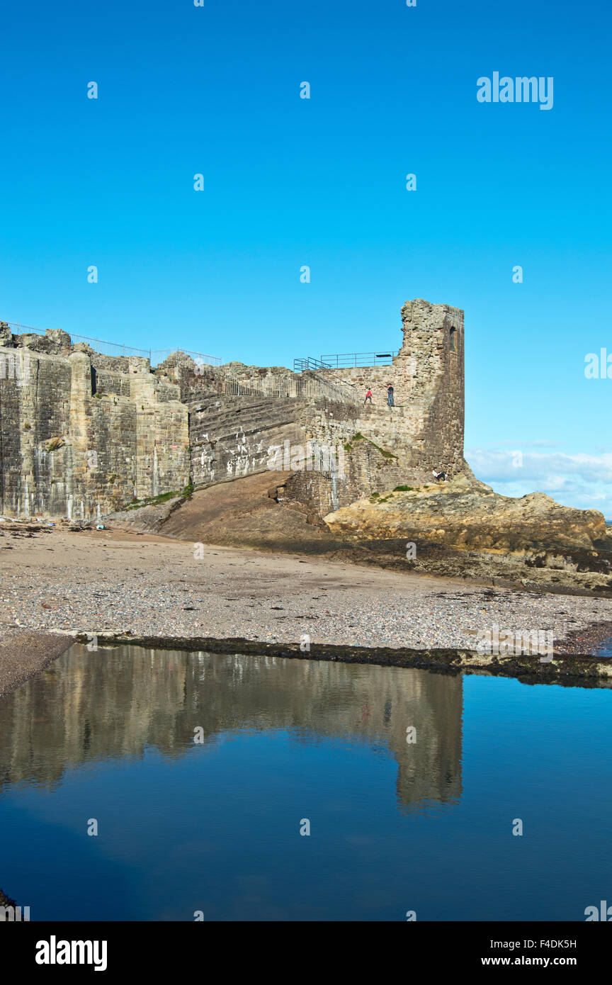 Castello Sands, St Andrews Fife, Scozia Foto Stock