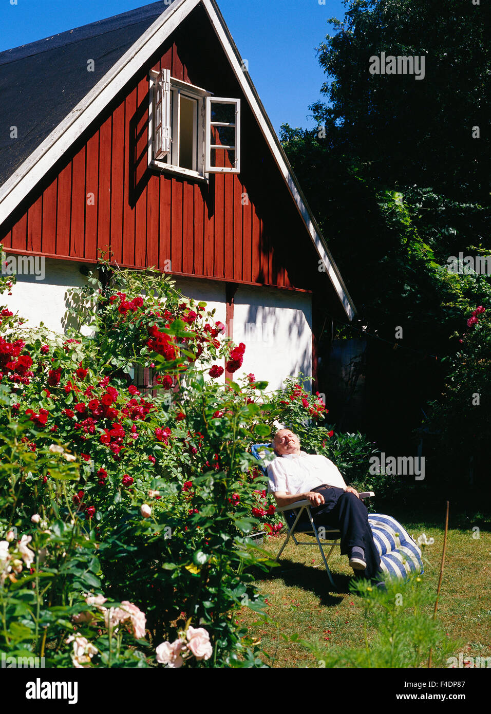 Un uomo riposa in un giardino. Foto Stock