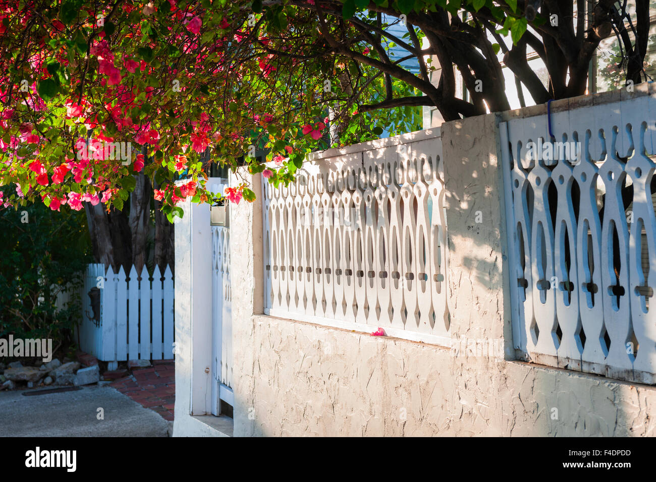 Vista del bianco recinzione ornati con fioritura viola bouganville in Key West, Florida Keys, STATI UNITI D'AMERICA. Foto Stock