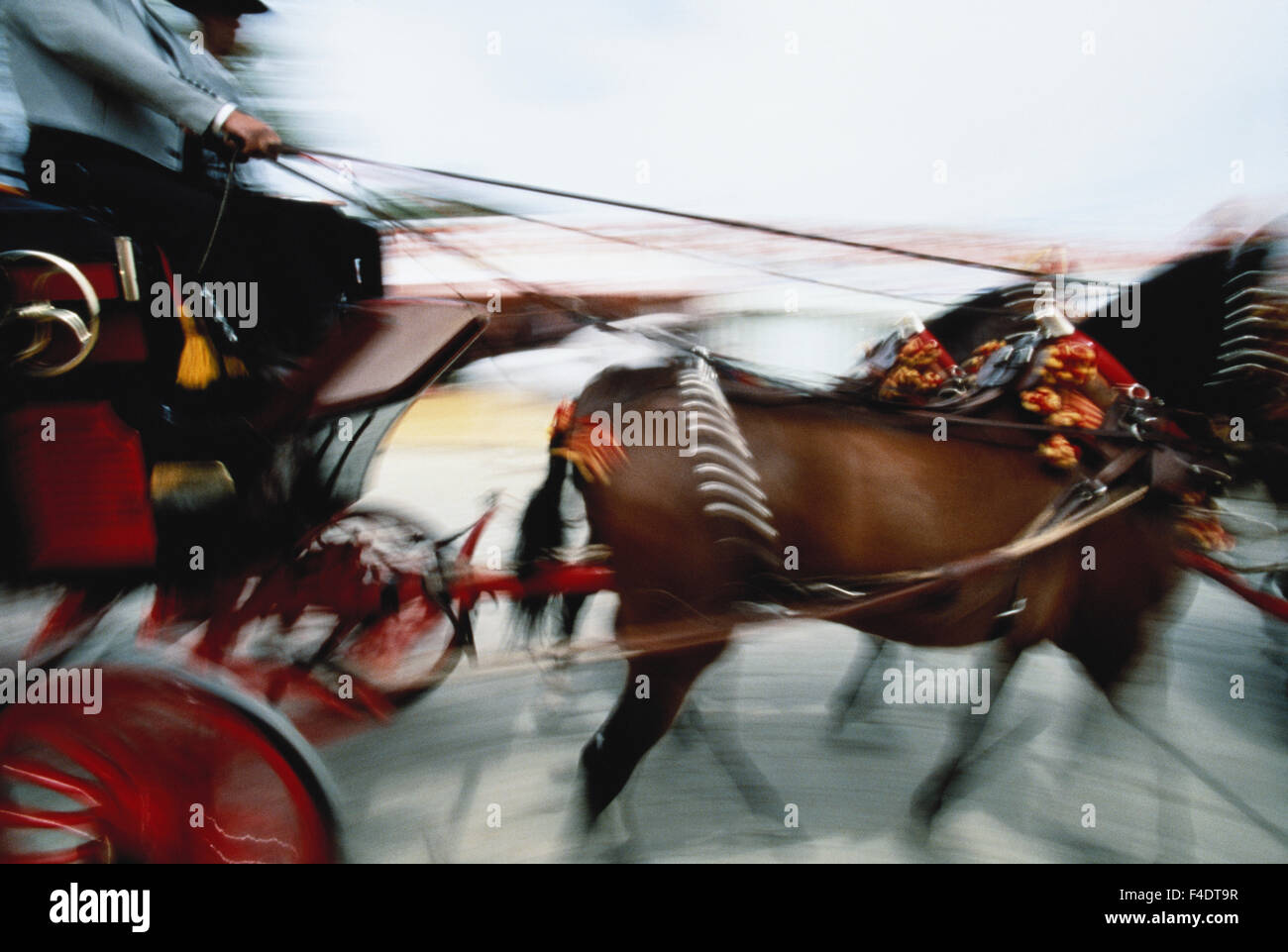Spagna, Siviglia, carro cavalli (formato di grandi dimensioni disponibili) Foto Stock