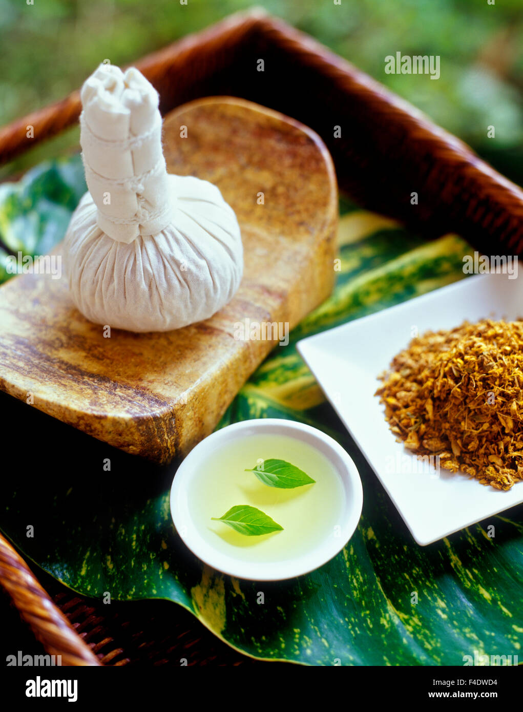 Ingredienti per una pappa caldo massaggio. Le foglie di basilico in olio di semi di uva e impiastro.Riviera Maya,Yucatan, Messico. Foto Stock