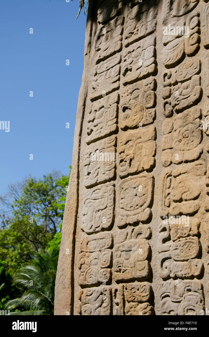 Guatemala, Dipartimento di Izabal, Quirigua Parco Nazionale. Maya sito archeologico, periodo classico (ANNUNCIO 200-900). Grande Plaza, dettaglio di riccamente intagliati stele di pietra arenaria. Foto Stock