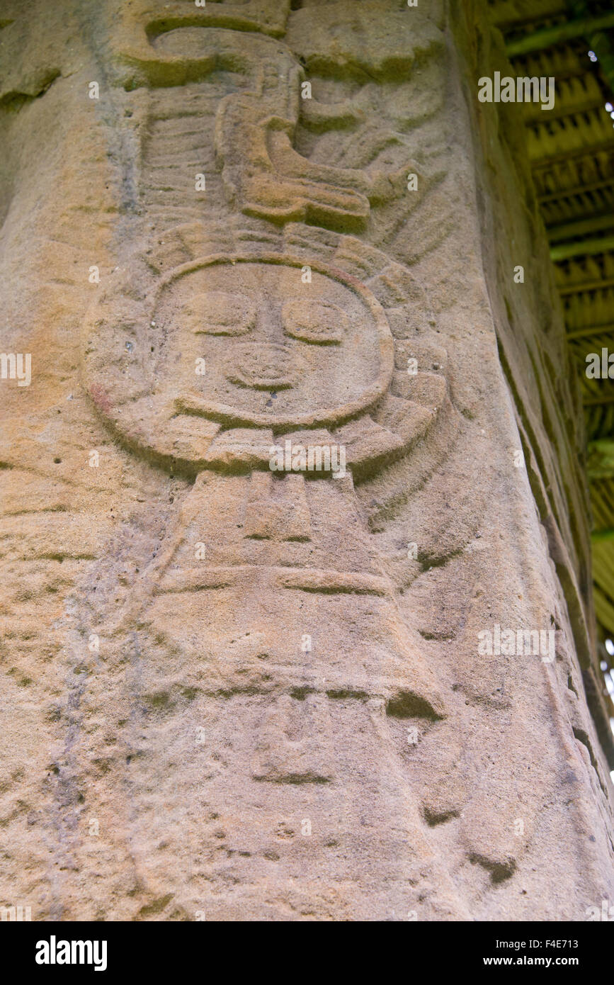 Guatemala, Dipartimento di Izabal, Quirigua Parco Nazionale. Maya sito archeologico, periodo classico (ANNUNCIO 200-900). Grande Plaza, dettaglio di riccamente intagliati stele di pietra arenaria. (Grandi dimensioni formato disponibile) Foto Stock