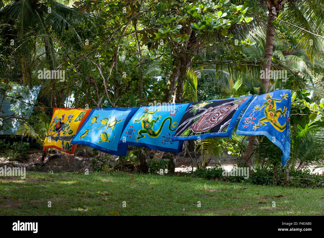 Home Industry stampe per la vendita. Riserva Caletas. Penisola di Osa. Costa Rica. America centrale. Foto Stock