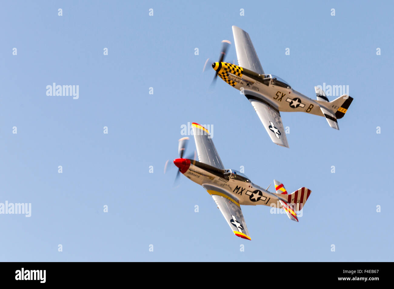 Stati Uniti d'America, Arizona, Glendale, Luke Air Force Base. Due P-51 Mustangs volare in formazione. Credito come: Wendy Kaveney Jaynes / Galleria / DanitaDelimont.com Foto Stock