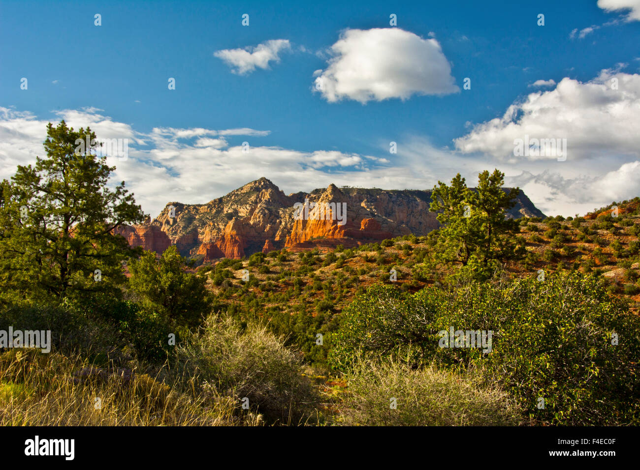 Vista da Schnebly Hill Road, Sedona, in Arizona, Stati Uniti d'America. Foto Stock