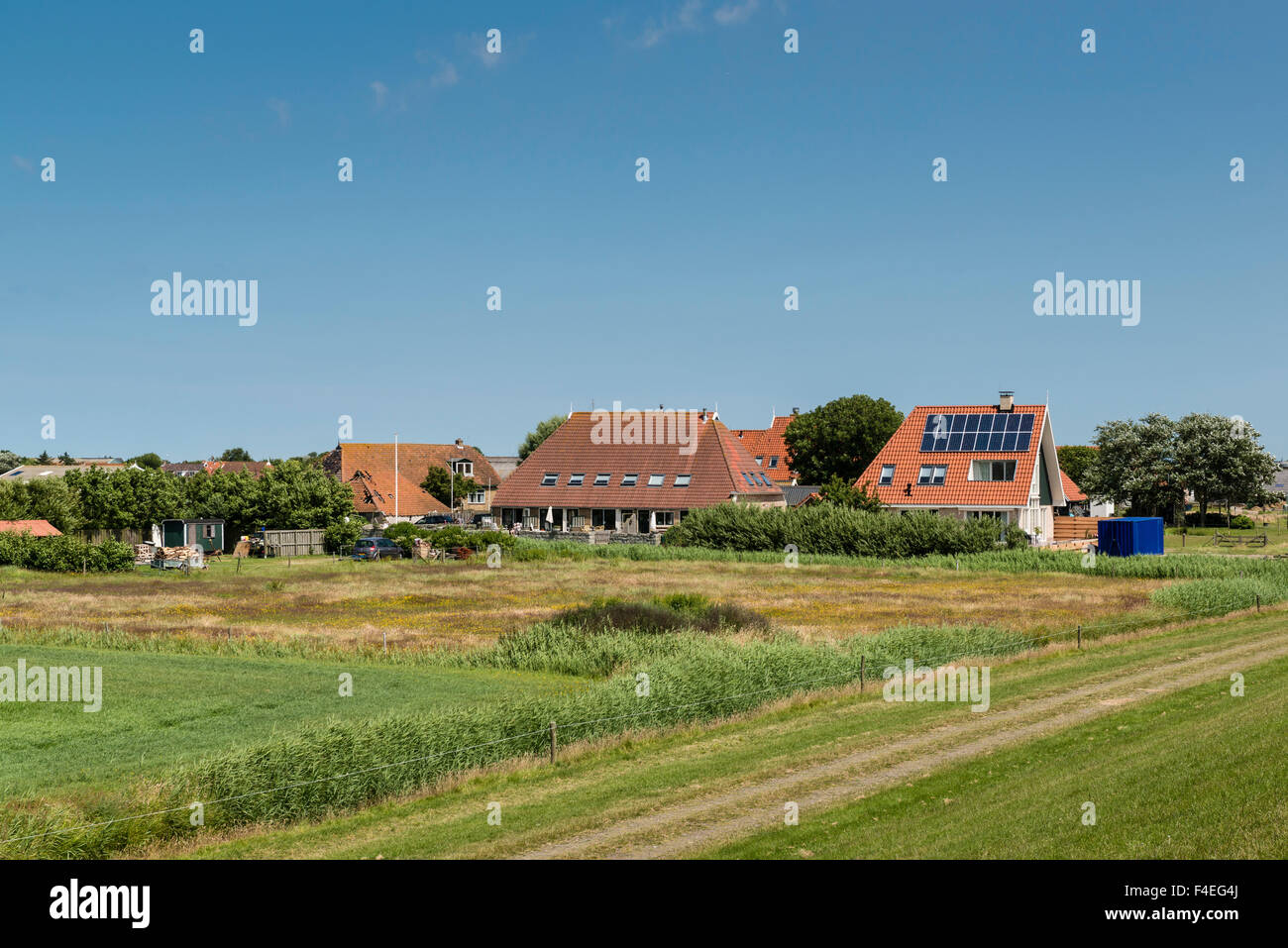 4 Luglio, 2014 pecore sono mantenendo l'erba a breve sulla diga presso il Waddenzee. Tutto il tratto è anche coperto con una bicicletta Foto Stock