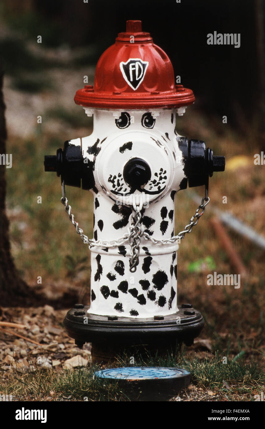 Idaho, Kellogg, Close-Up di idrante di fuoco (formato di grandi dimensioni disponibili) Foto Stock