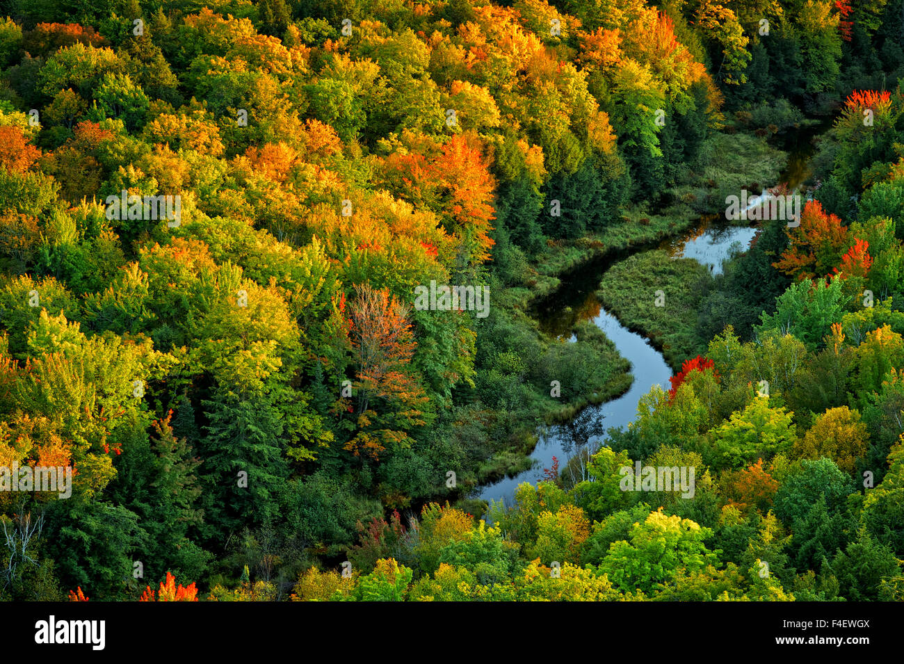 Michigan, Istrice colorate montagne nel sole di mattina con un piccolo ruscello. Foto Stock