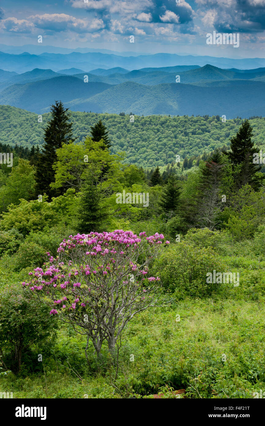 Cowee Mountain si affacciano, Blue Ridge Parkway, Carolina del Nord Foto Stock