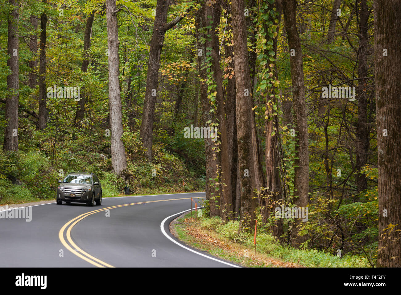 North Carolina, Great Smoky Mountains National Park, ritrovata Gap Road, Route 441, autunno Foto Stock