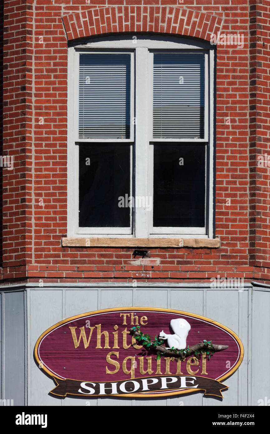 North Carolina, Brevard, segno per il bianco scoiattolo Shop, cittadina è conosciuta per la sua rara scoiattoli bianchi Foto Stock