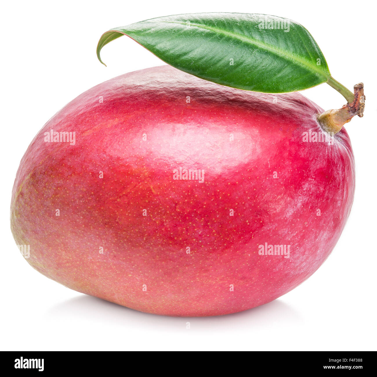 Mango frutti con foglie isolate su uno sfondo bianco. L'immagine di alta qualità. Foto Stock
