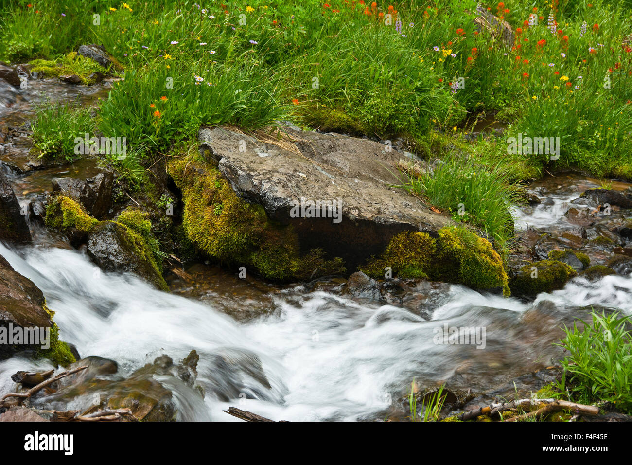 Plaikni Falls, Sand Creek, il Parco nazionale di Crater Lake, Oregon, Stati Uniti d'America Foto Stock