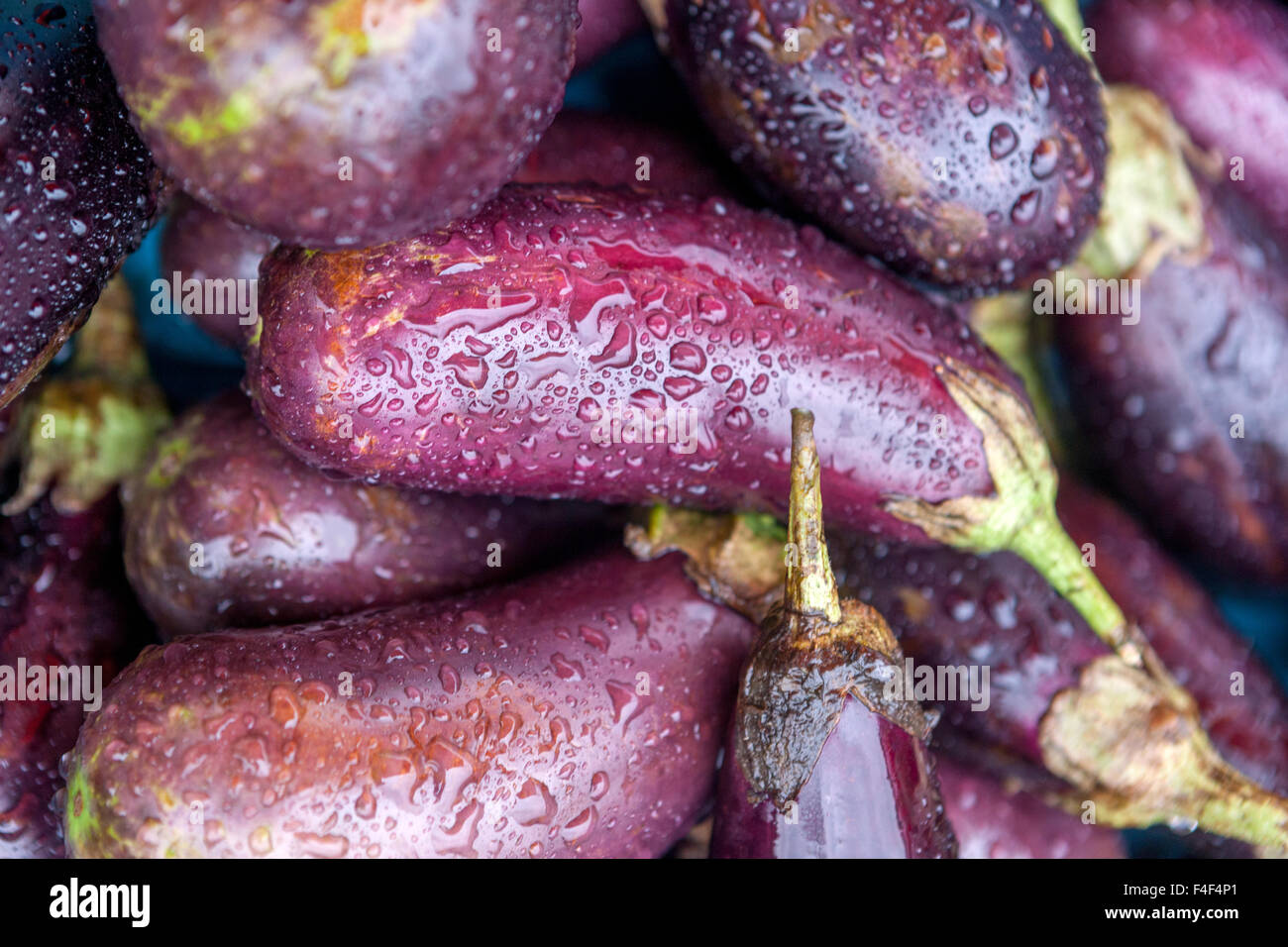 Melanzane melanzane, gocce sulle melanzane, mercato vegetale Aubergine Foto Stock