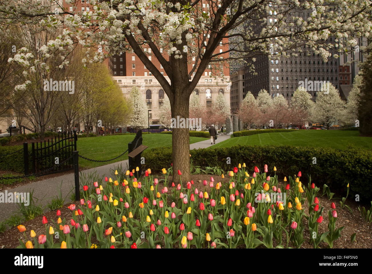 Gli alberi in fiore e i tulipani fioriscono Mellon verde sotto la US Steel Tower, a 64 piani, più alti in Pittsburgh PA. Foto Stock