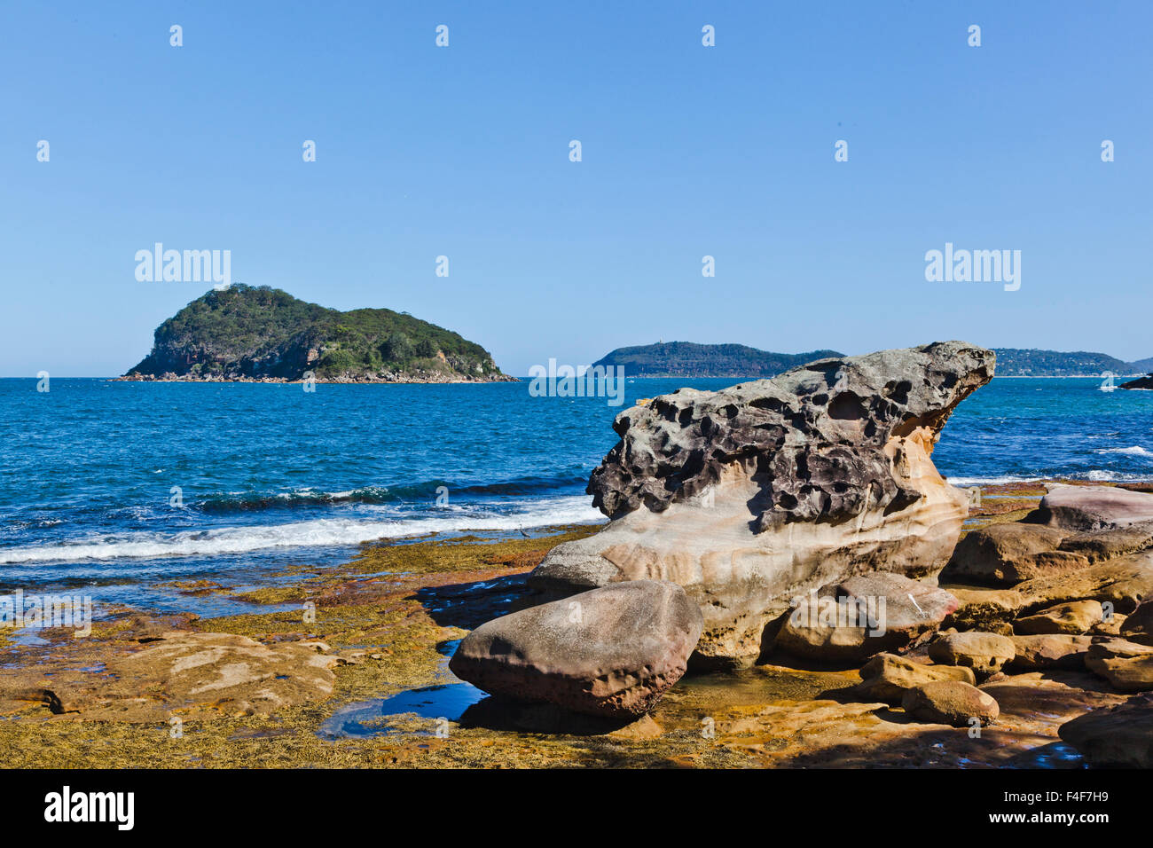 Vista di Lion Island a Broken Bay da Brisbane acqua Parco Nazionale a metà testa, Central Coast, Nuovo Galles del Sud, Australia Foto Stock