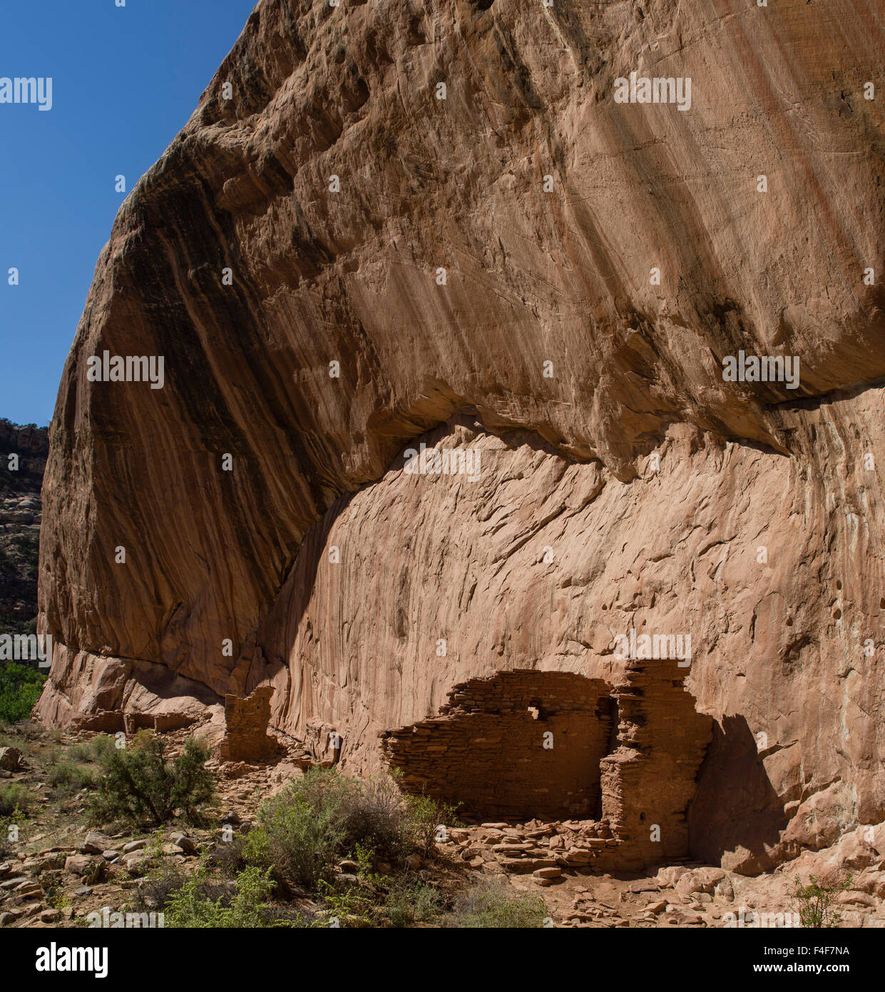 Stati Uniti d'America, Utah, Blanding. Arch Canyon rovine Anasazi. Foto Stock