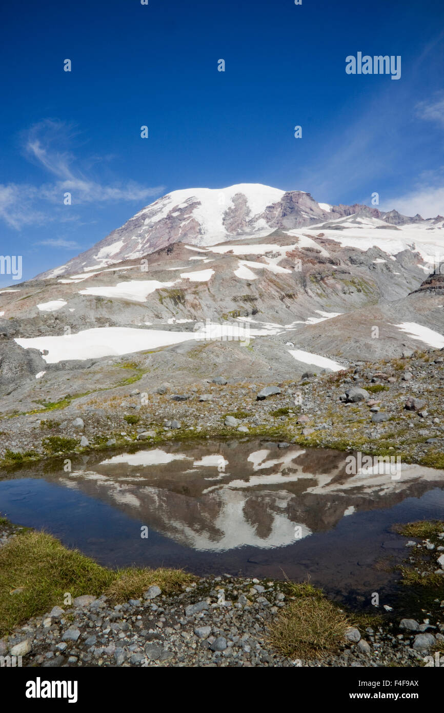 Il Parco Nazionale del Monte Rainier, Cascade Mountains Foto Stock