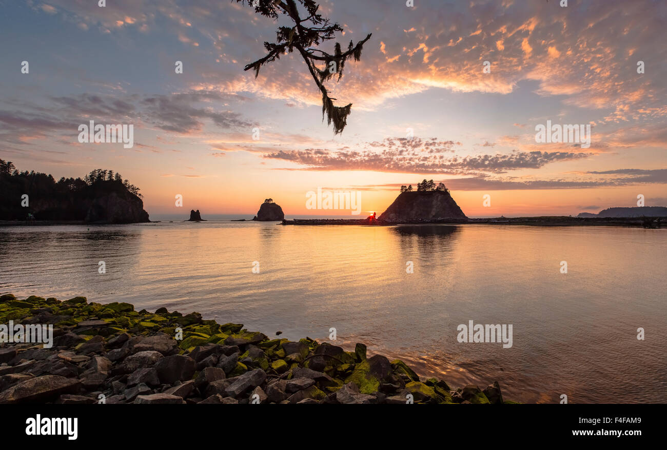 La spinta, Washington. Panorama della foce del fiume Quillayute e little James Island al tramonto. (Grandi dimensioni formato disponibile) Foto Stock