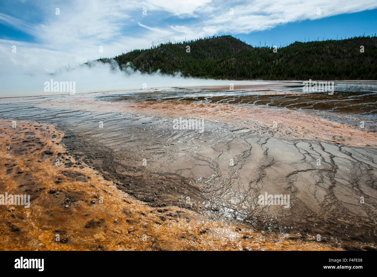 Grand Prismatic Geyser, Midway Geyser Basin, il Parco Nazionale di Yellowstone, Wyoming Foto Stock