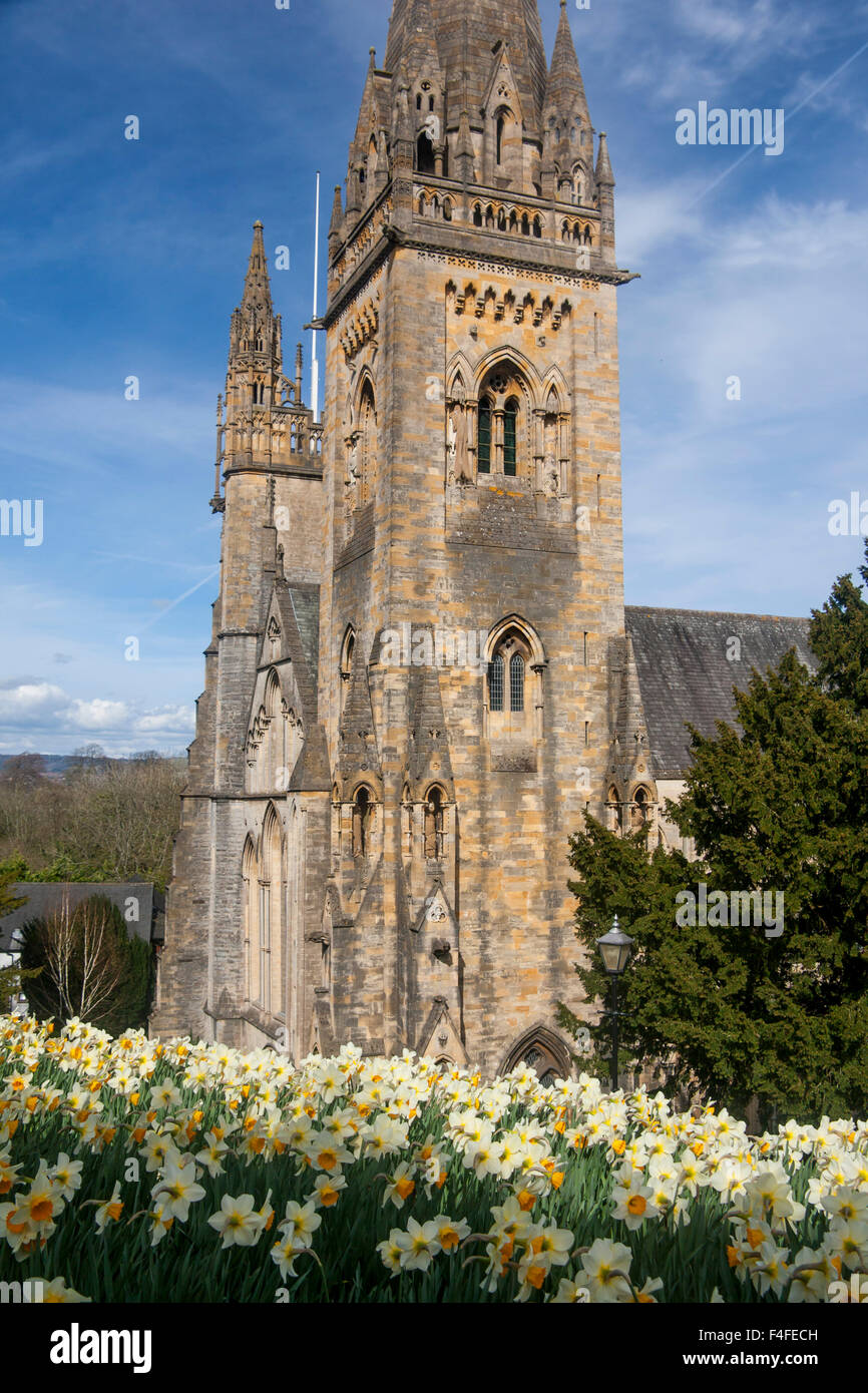 Cattedrale di Llandaff in primavera con i narcisi in primo piano Cardiff Wales UK Foto Stock