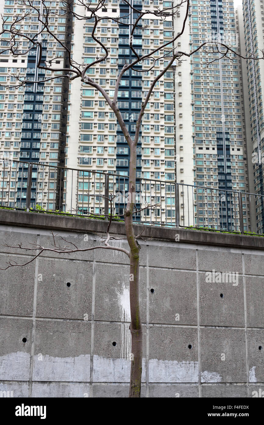 Si tratta di una foto di Hong Kong le torri in Tseung Kwan O Area. Si tratta di sviluppo per la costruzione di appartamenti Foto Stock