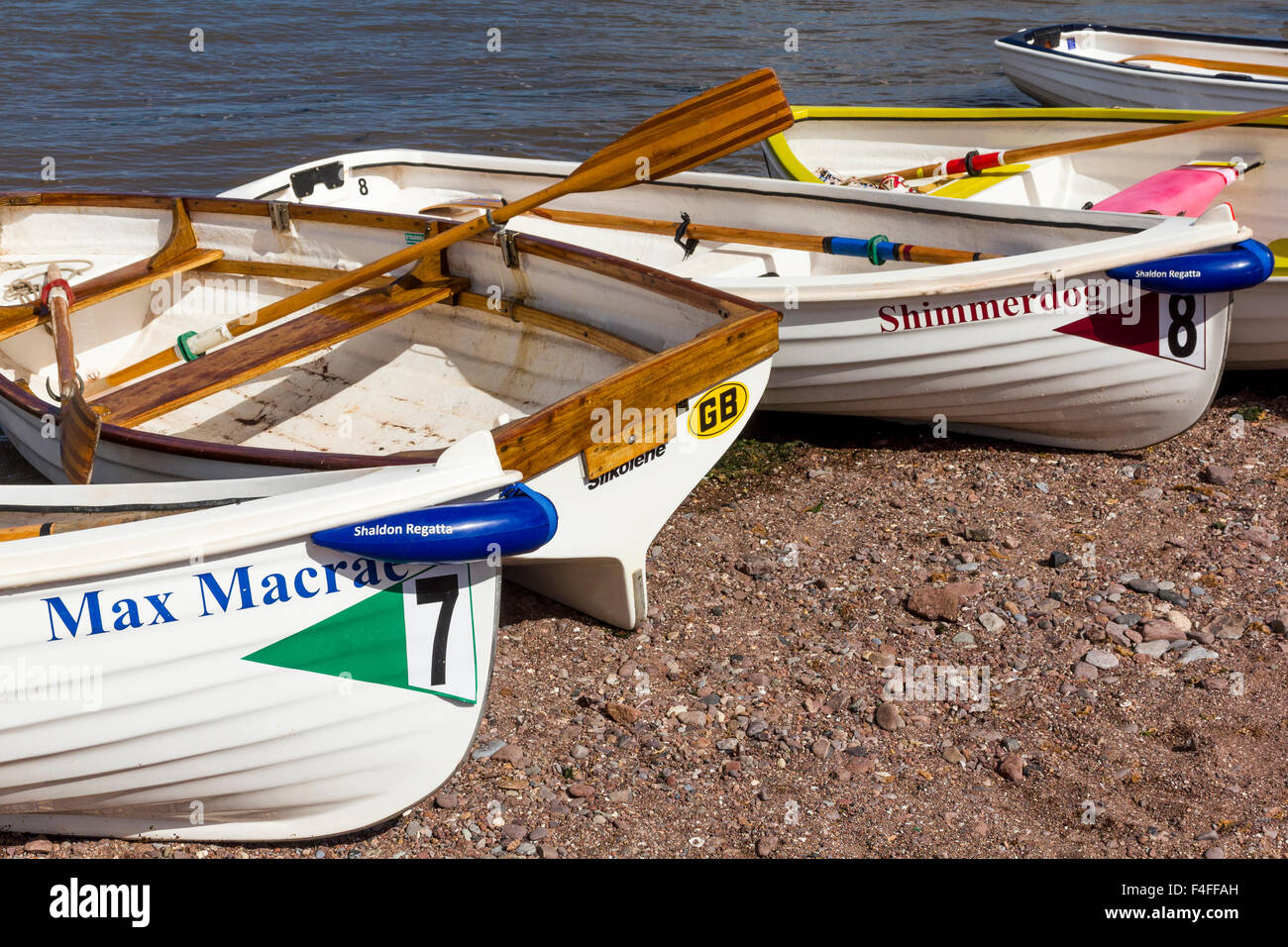 Spiaggiata imbarcazioni a remi pronto per la gara a concorrenti Shaldon regata. Foto Stock