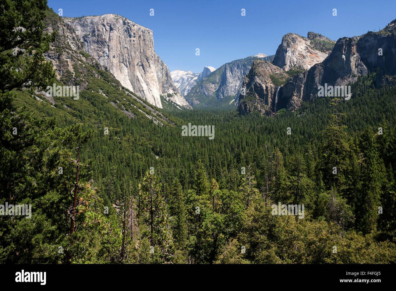 Vista nella Yosemite Valley dalla vista di tunnel, El Capitan sinistra, Yosemite National Park, California, Stati Uniti d'America Foto Stock