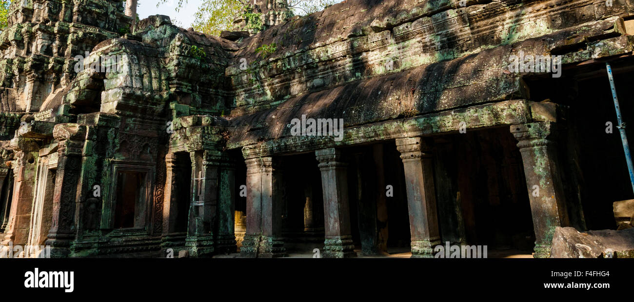 Tempio di pietra Ta Prohm Angkor Wat Foto Stock