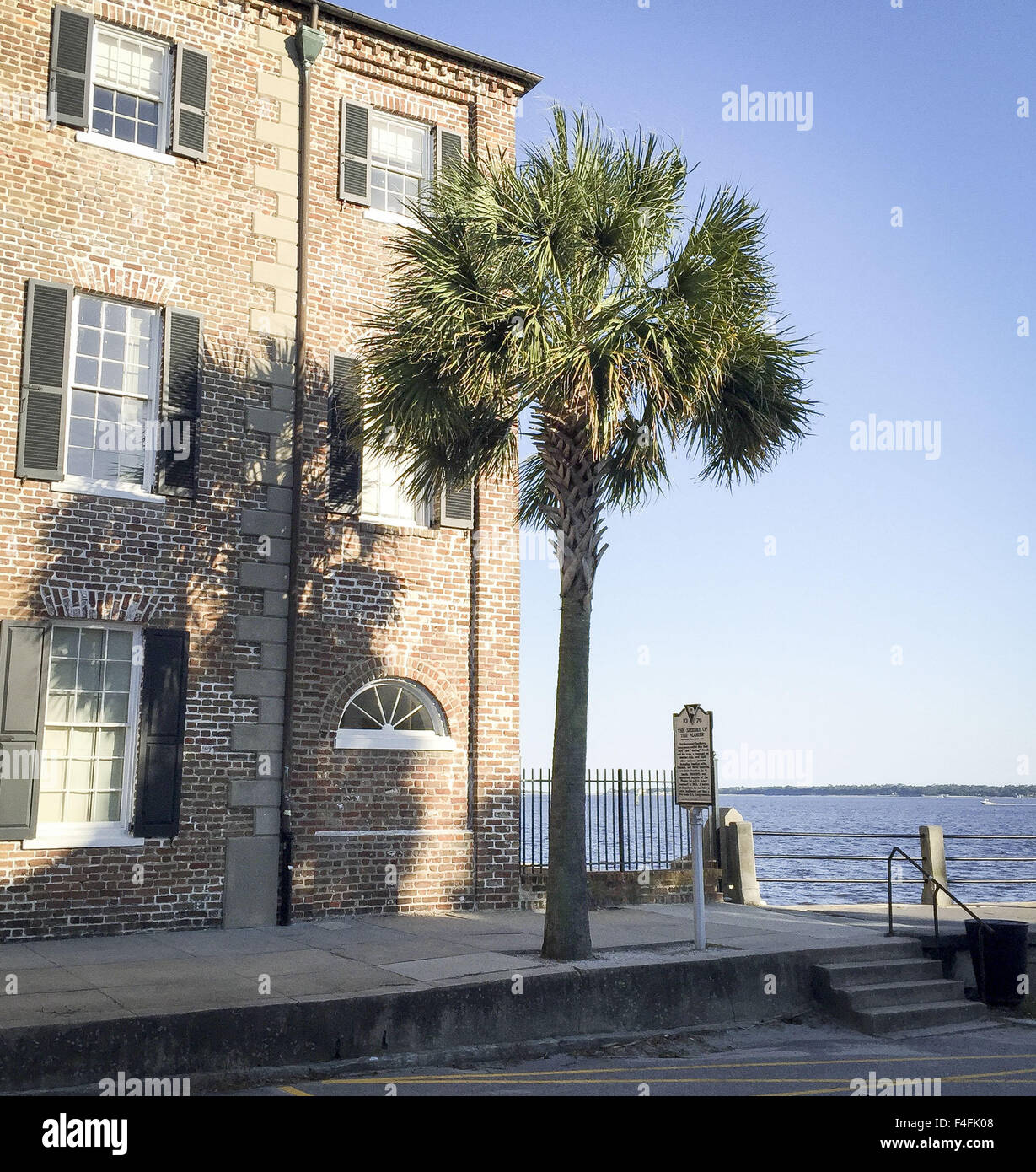 Charleston, Carolina del Sud, Stati Uniti d'America. Xvi oct, 2015. Il Sabal Palmetto è uno dei quindici specie simili per aspetto e comunemente chiamato Caraibi palm. Il Palmetto con il suo distintivo e cespuglioso dispiegata fronde presso il Crown come pure la linea diritta e polverosa colore può essere visto sulla bandiera dello Stato della Carolina del Sud. Raccolti tagliati da fronde di Palmetto palm anche adorna il Charleston bandiera municipale. --- Di un alto Sabal Palmetto pam sorge lungo davanti a una casa lungo la East Battery Street al punto di bianco giardino. © David Bro/ZUMA filo/Alamy Live News Foto Stock