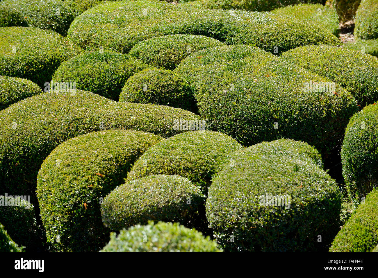 'Les Jardins suspendus de Marqueyssac' sovrastante i giardini di Marqueyssac Perigord, Aquitaine, Francia Foto Stock