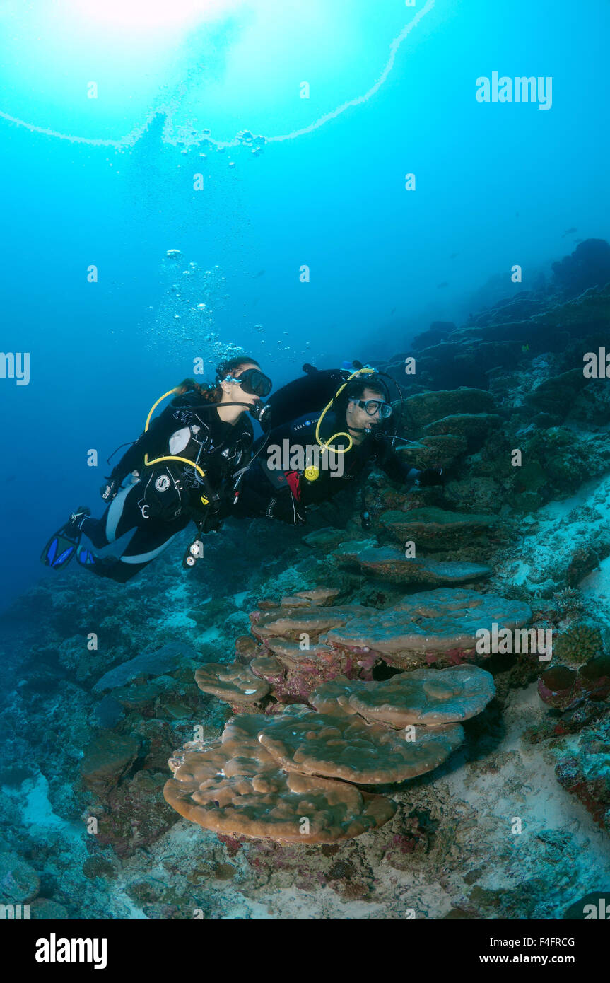 Coppia giovane sub nuota vicino alla barriera corallina, Oceano Indiano, Maldive Foto Stock