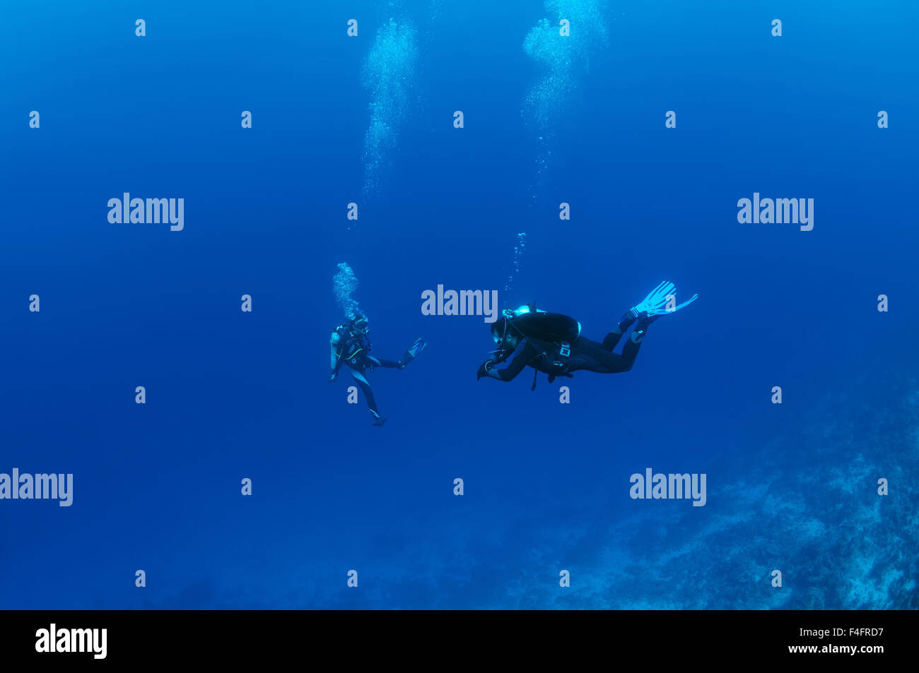 Coppia giovane divers nuoto nella colonna d'acqua, l'Oceano Indiano, Maldive Foto Stock