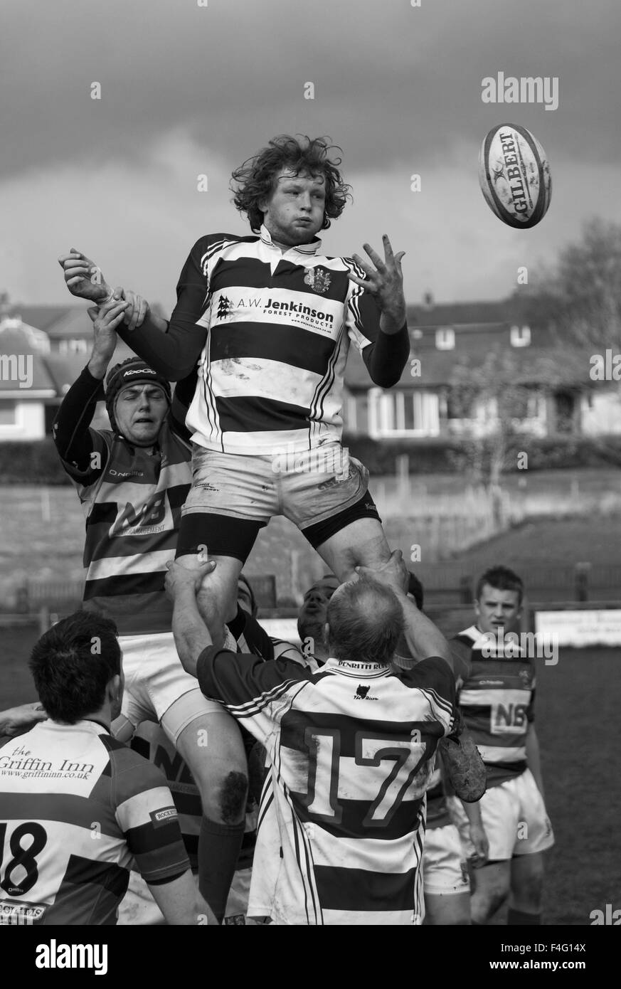 Rugby Union giocatori contestano la palla in un match tra Penrith e Liverpool St Helens presso gli inverni Park, Penrith in Inghilterra. Foto Stock