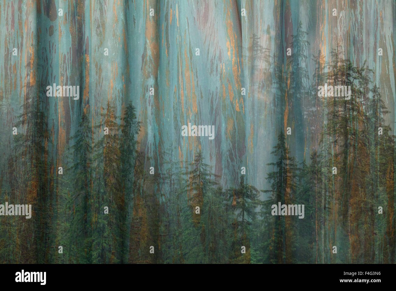 Stati Uniti d'America, Alaska, Misty fiordi monumento nazionale. Collage abstract di alberi e bosco. Credito come: Don Paulson Jaynes / Galleria / DanitaDelimont.com Foto Stock