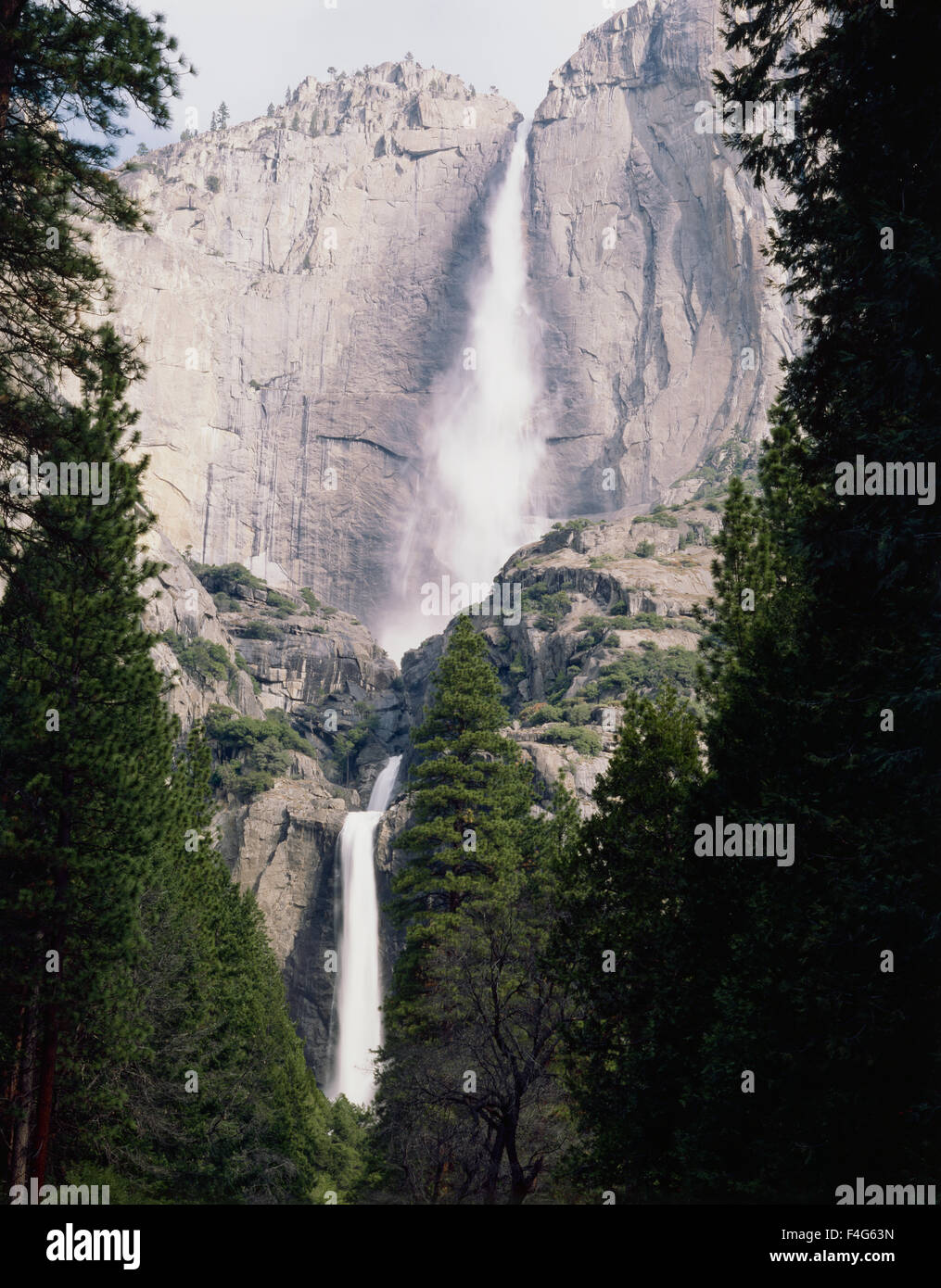 California, Sierra Nevada, del Parco Nazionale Yosemite, superiore e inferiore Yosemite Falls. (Grandi dimensioni formato disponibile) Foto Stock