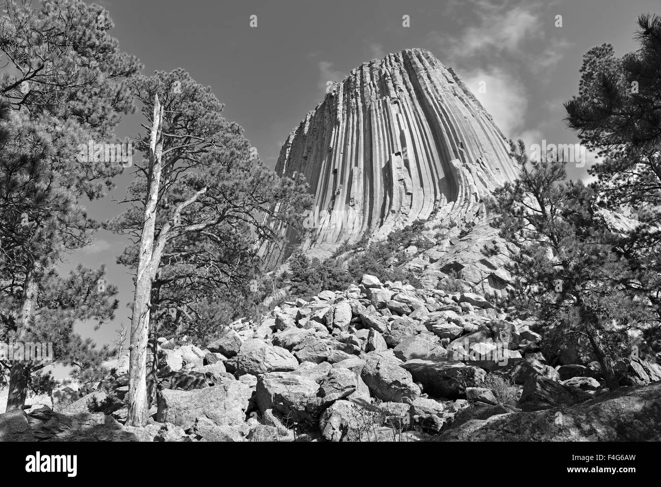 Devils Tower National Monument, Wyoming Foto Stock