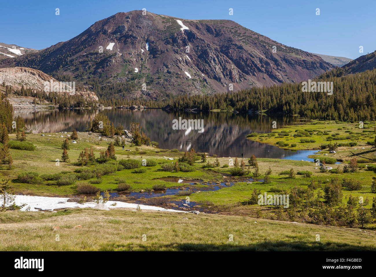 Parco Nazionale di Yosemite. La mattina presto Tioga di picco e il Ghiacciaio Creek ingresso Tioga Lake. Foto Stock