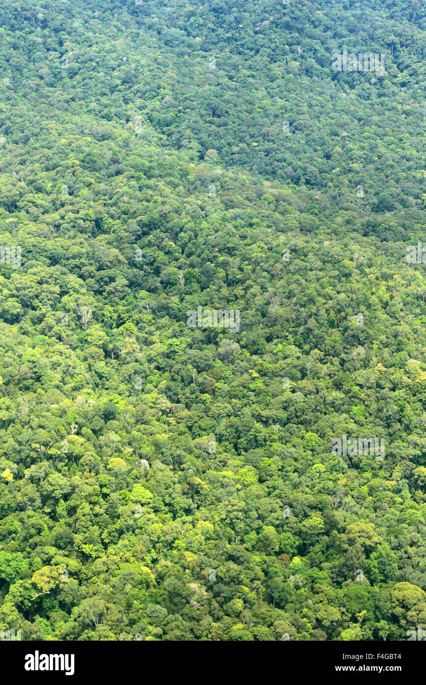 Montagna di Borneo (antenna sparare) Foto Stock