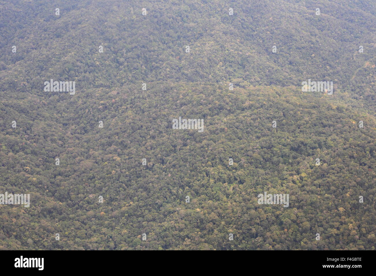 Montagna di Borneo (antenna sparare) Foto Stock