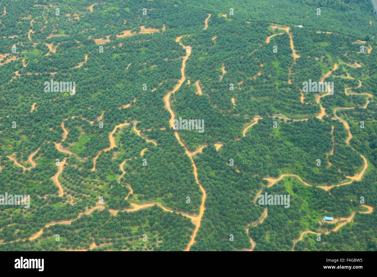 Montagna di Borneo (antenna sparare) Foto Stock