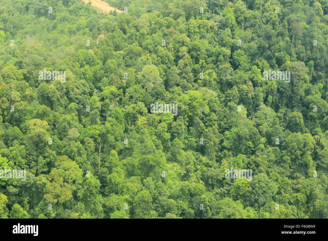 Montagna di Borneo (antenna sparare) Foto Stock