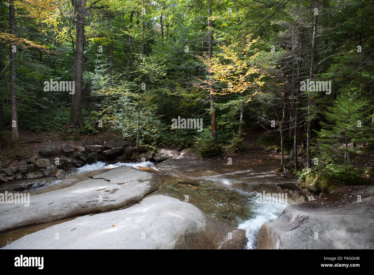 In autunno gli alberi al tempo di caduta al bacino nel New Hampshire Foto Stock