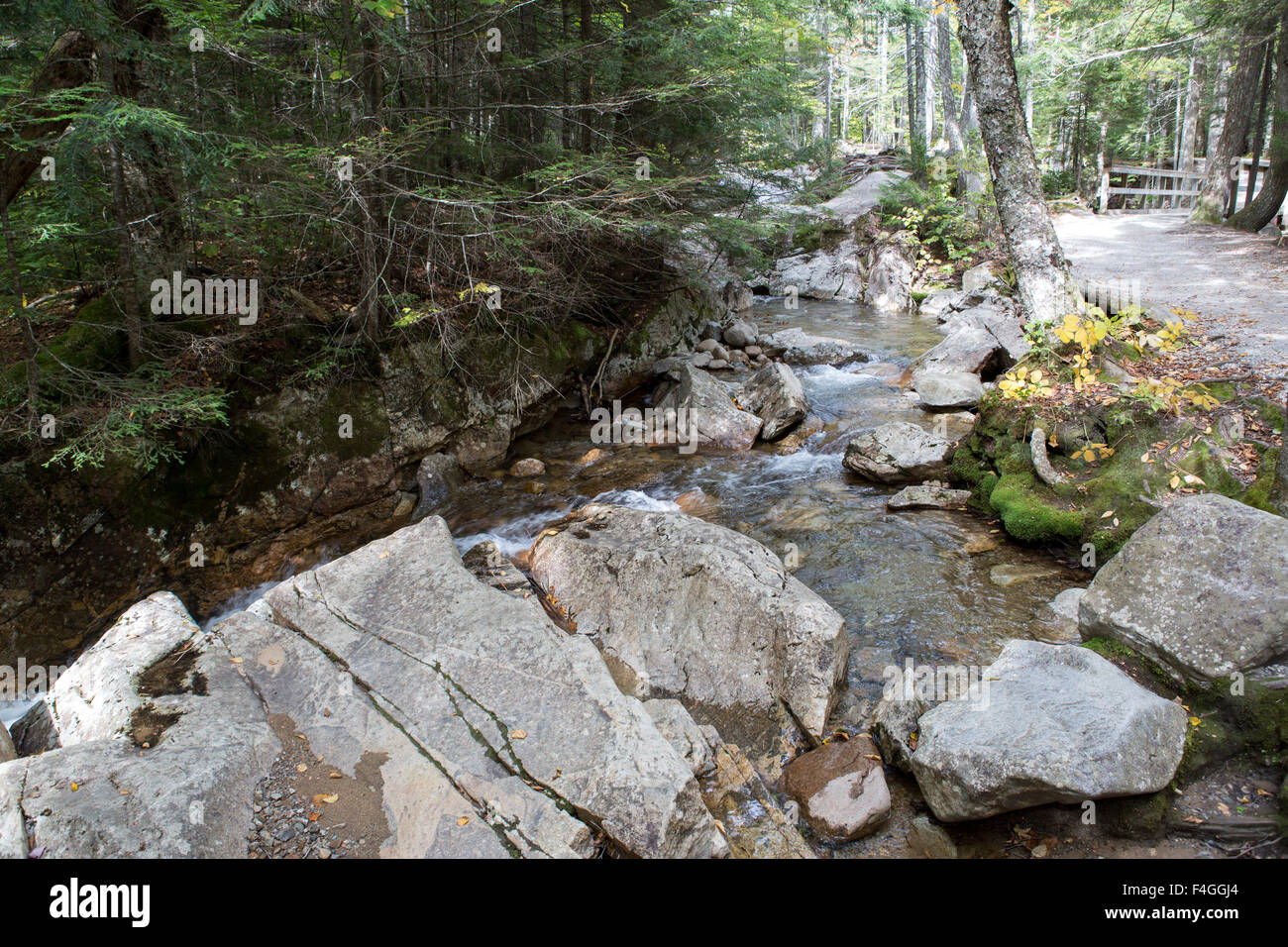 In autunno gli alberi al tempo di caduta al bacino nel New Hampshire Foto Stock