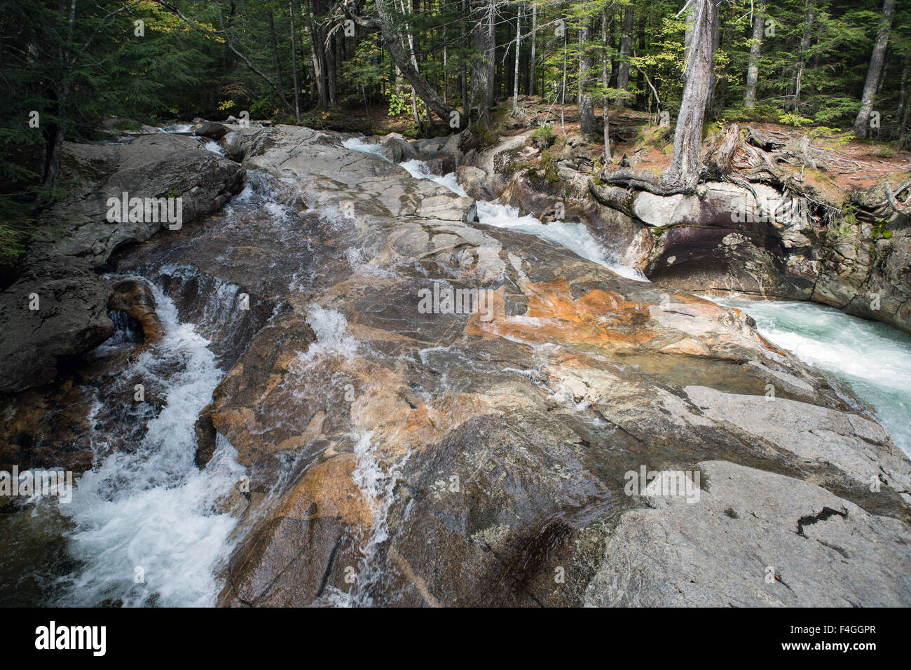 In autunno gli alberi al tempo di caduta al bacino nel New Hampshire Foto Stock