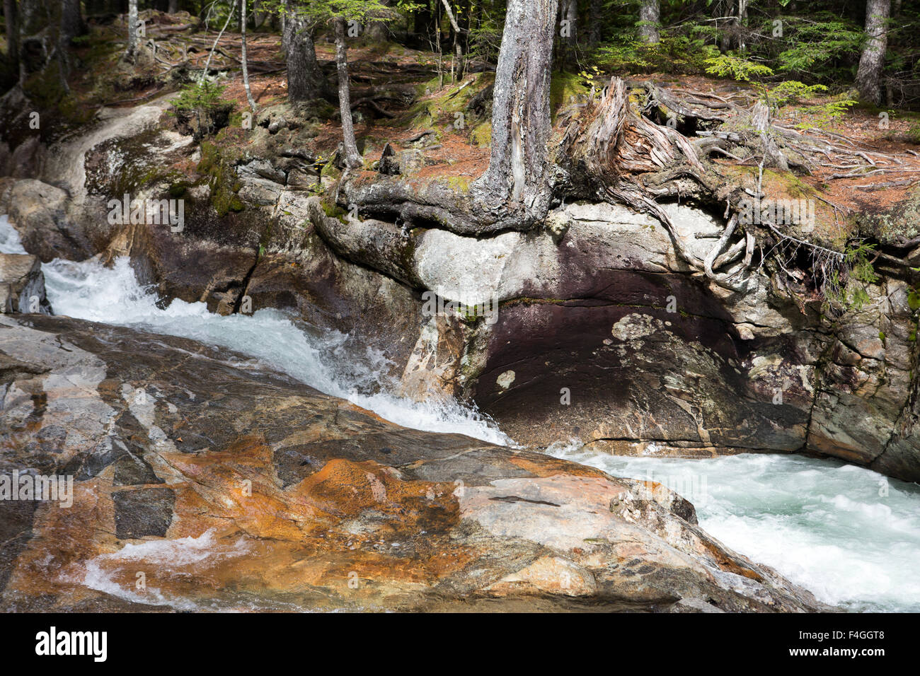 In autunno gli alberi al tempo di caduta al bacino nel New Hampshire Foto Stock