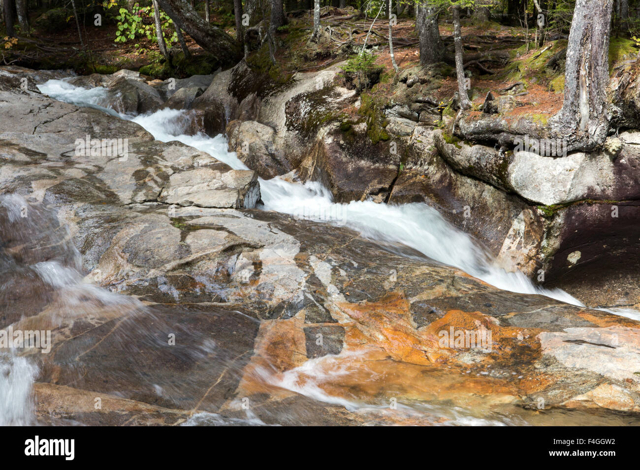 In autunno gli alberi al tempo di caduta al bacino nel New Hampshire Foto Stock