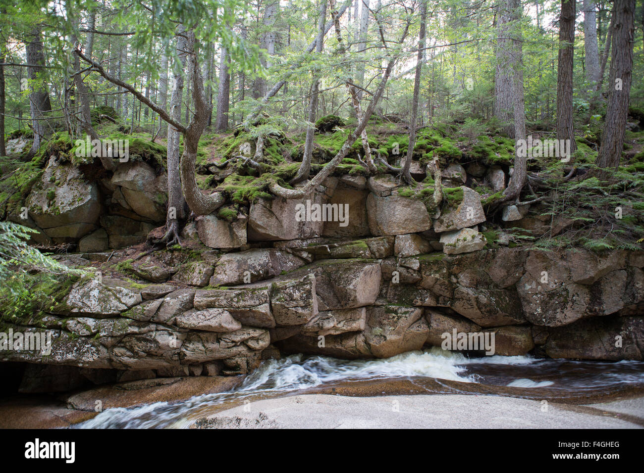 In autunno gli alberi al tempo di caduta al bacino nel New Hampshire Foto Stock