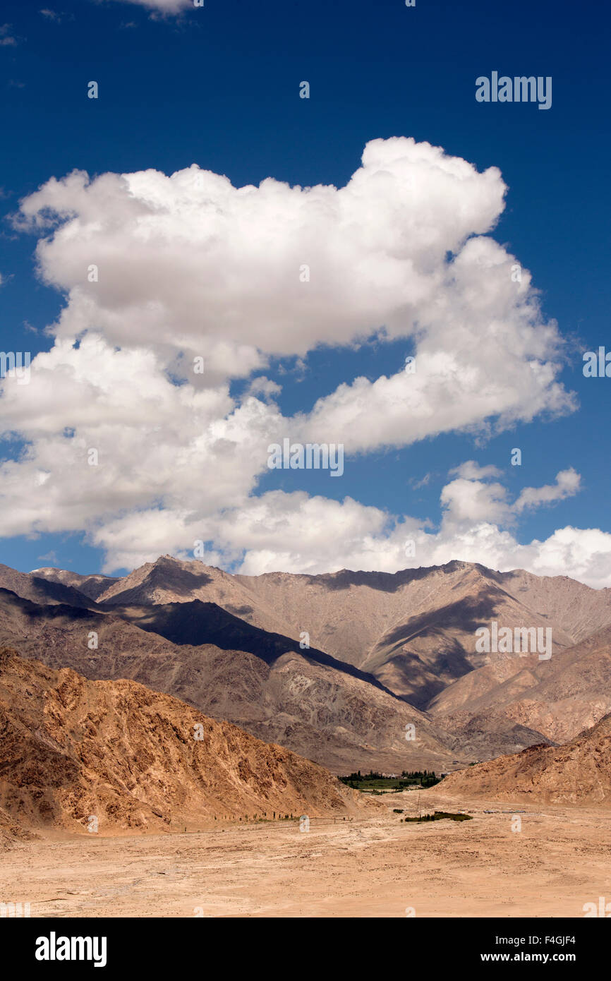 India, Jammu e Kashmir, Ladakh, Stakna, montane aride Ladakhi paesaggio in estate Foto Stock